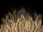 Gold Palm Leaf Wallpaper : Black Tropical Fronds Mural - View 2