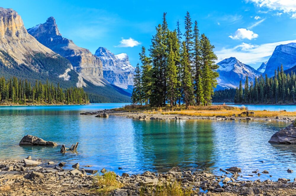 Mountain Lake Wallpaper : Pine Island Alpine Mural - View 2