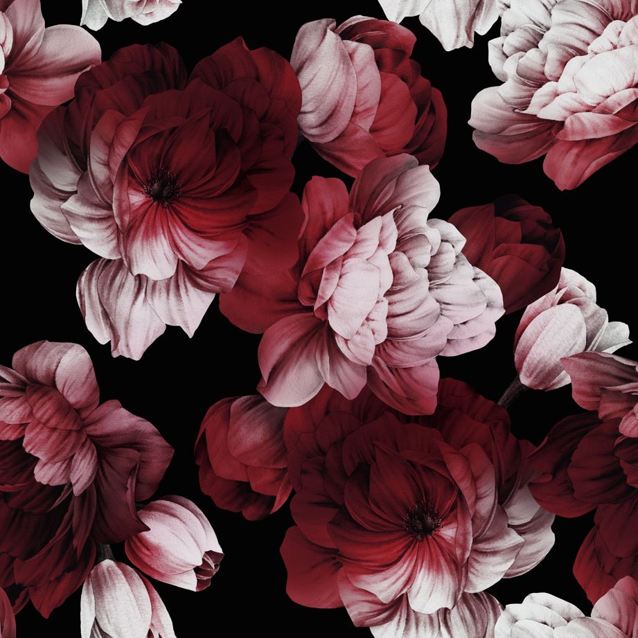Crimson Peony Wallpaper : Dark Red Floral Mural - View 2