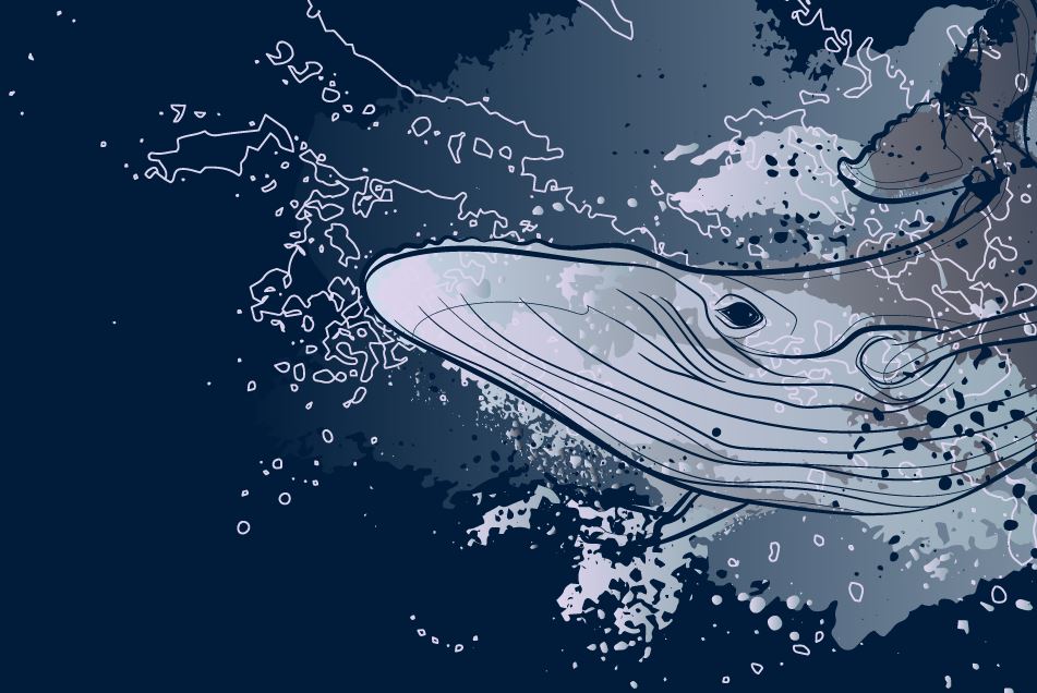 Whale Wallpaper : Navy Graphic Humpback Mural - View 2