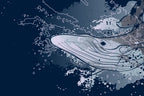 Whale Wallpaper : Navy Graphic Humpback Mural - View 2