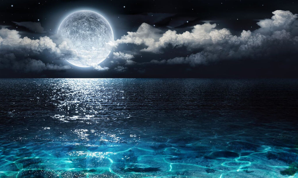 Full Moon Ocean Wallpaper : Moonlit Sea Mural - View 2
