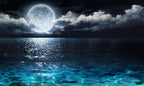 Full Moon Ocean Wallpaper : Moonlit Sea Mural - View 2