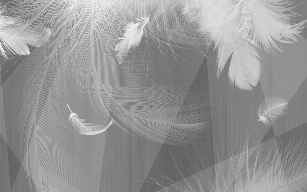 Grey Feather Wallpaper : 3D Soft Plume Mural - View 2