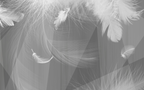 Grey Feather Wallpaper : 3D Soft Plume Mural - View 2