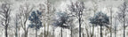 Bare Tree Forest Wallpaper : Grey Winter Woods Mural - View 2