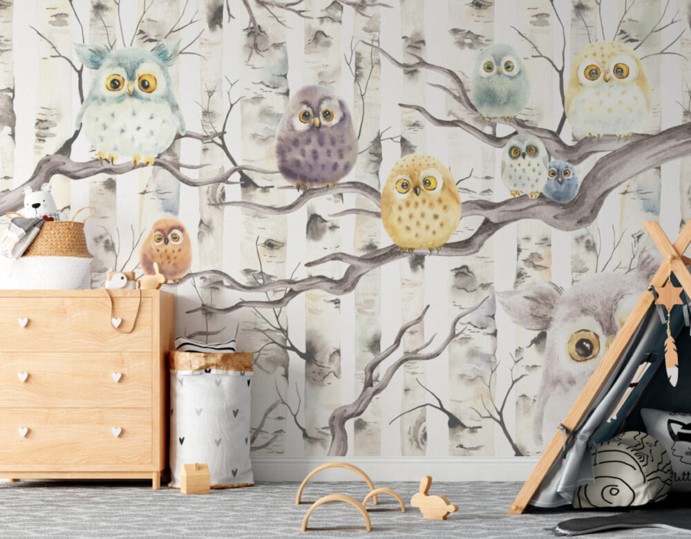 Owl Family Kids Wallpaper : Birch Branch Owls Mural - View 2