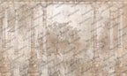 Antique Palace Wallpaper : Beige Ruined Columns Botanical Mural - flat design