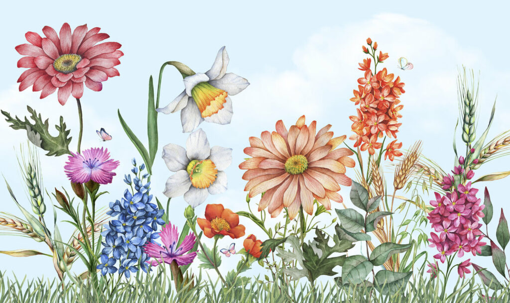 Wildflower Meadow Wallpaper : Daisies and Daffodils Botanical Mural - flat design