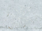 Pale Blue Chinoiserie Wallpaper : Blossom Tree Bird Mural - View 2