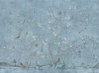 Dusty Blue Chinoiserie Wallpaper : Blossom Tree Songbird Mural - View 2
