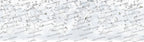 White Blossom Tree Wallpaper : Hummingbird Sketch Mural - View 2