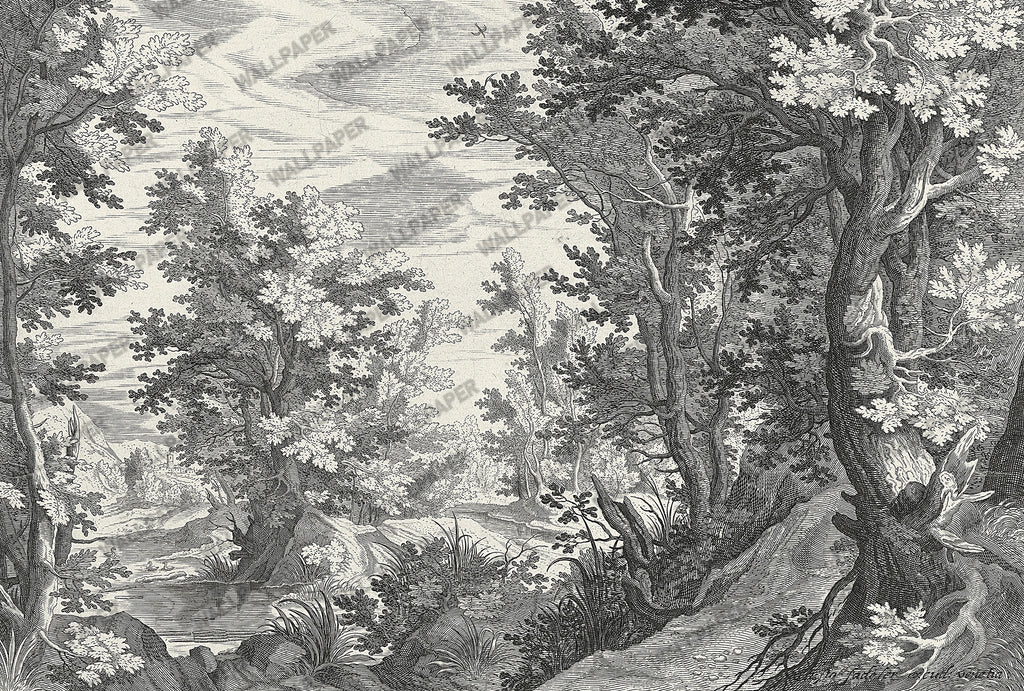 Engraved Forest Wallpaper : Black and White Woodland Mural - View 2