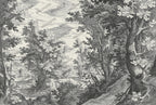Engraved Forest Wallpaper : Black and White Woodland Mural - View 2