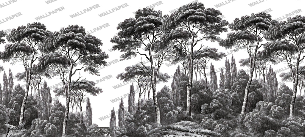 Black and White Pine Forest Wallpaper : Engraved Tree Line Mural