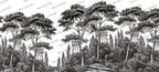 Black and White Pine Forest Wallpaper : Engraved Tree Line Mural