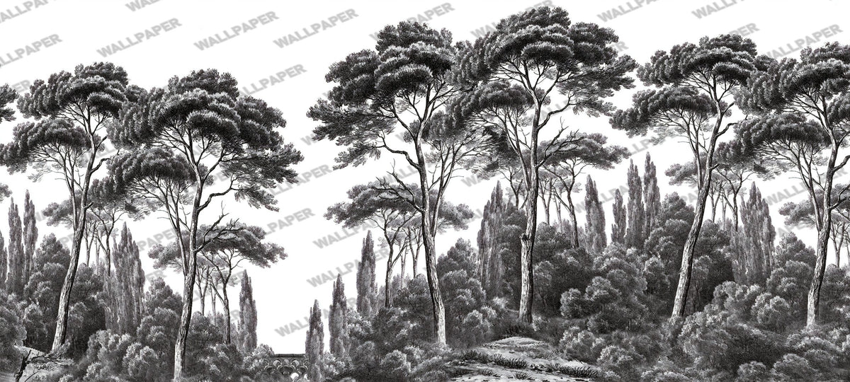 Black and White Pine Forest Wallpaper : Engraved Tree Line Mural