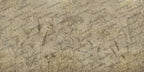 Cream Fern Silhouette Wallpaper : Beige Botanical Shadow Mural - View 2