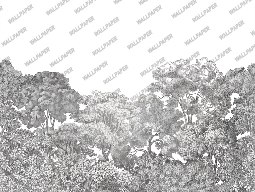 Black and White Treetop Wallpaper : Sketched Forest Canopy Mural - flat design