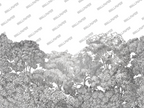 Black and White Treetop Wallpaper : Sketched Forest Canopy Mural - flat design