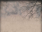 Bare Branches Wallpaper : Misty Taupe Silhouette Mural - flat design