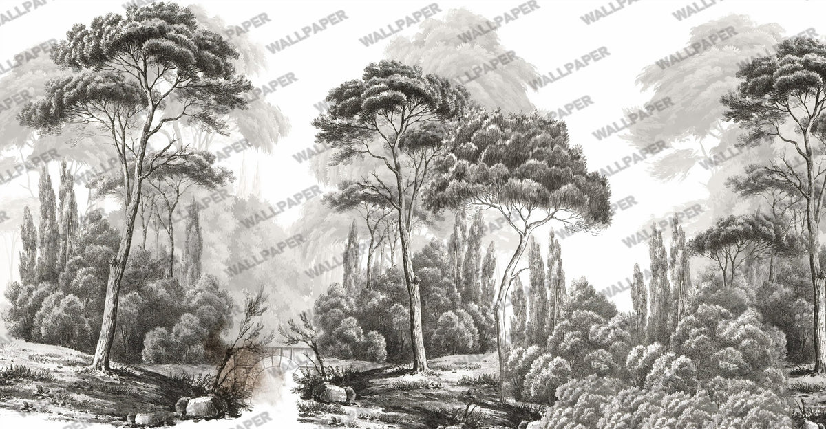 Etched Forest Wallpaper : Black And White Engraved Trees Mural - flat design