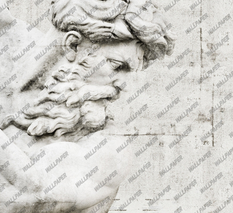 Zeus Statue Wallpaper : Classical Marble Bust Sepia Mural - View 2