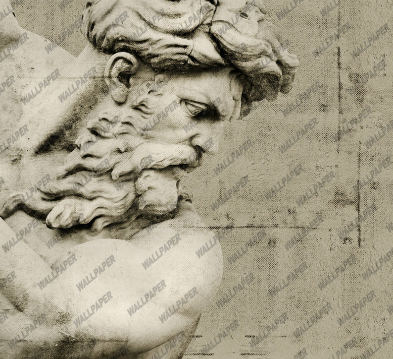 Zeus Statue Wallpaper : Classical Marble Bust Sepia Mural - flat design