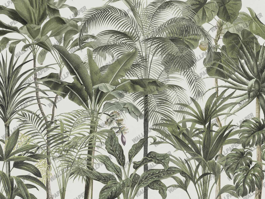 Green Palm Grove Wallpaper : Lush Tropical Trees Mural - flat design