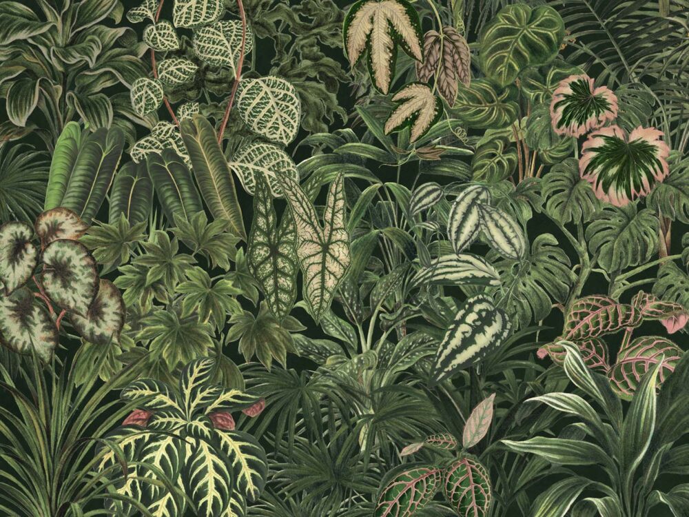 Dark Tropical Plants Wallpaper : Lush Leaf Mix Mural - flat design