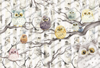 Owl Family Kids Wallpaper : Birch Branch Owls Mural - flat design