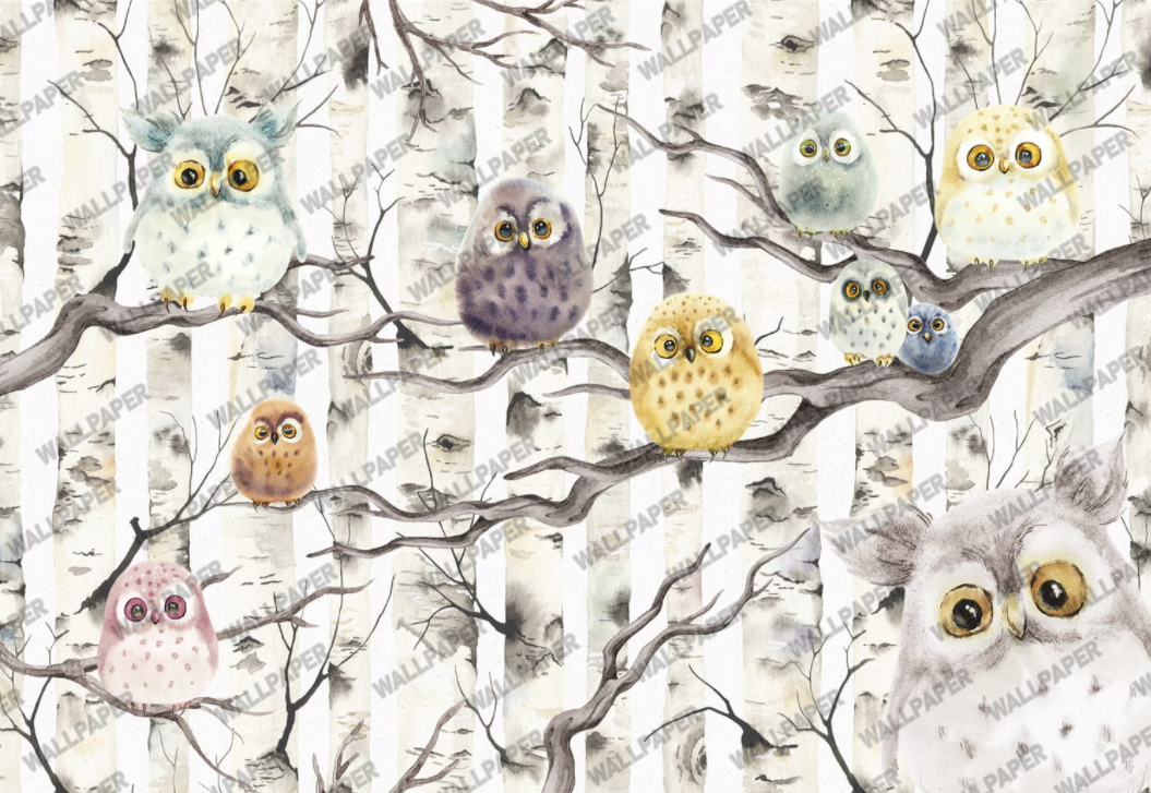 Owl Family Kids Wallpaper : Birch Branch Owls Mural - flat design