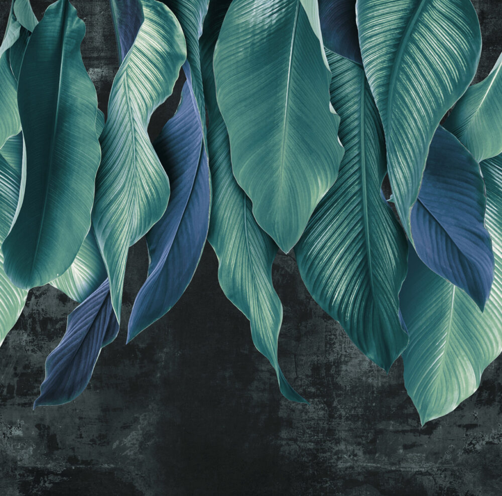 Teal Leaf Wallpaper : Large Tropical Leaves Mural - flat design