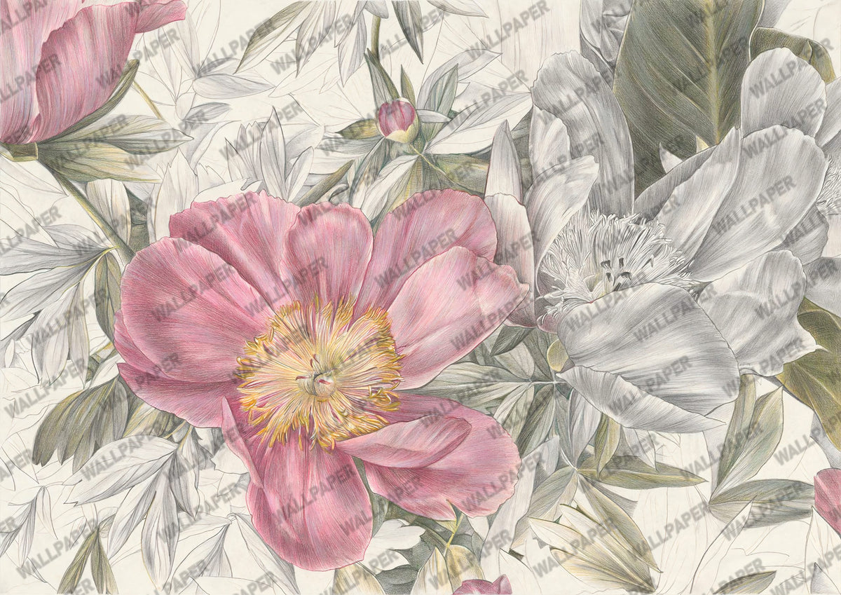 Pink Peony Wallpaper : Large Blush Flower Leaf Mural - flat design