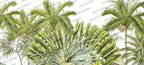 Lime Banana Leaf Wallpaper : Bright Green Tropical Mural - View 2