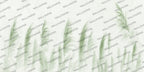 Pink Pampas Wallpaper : Blush Feather Grass Mural - View 3