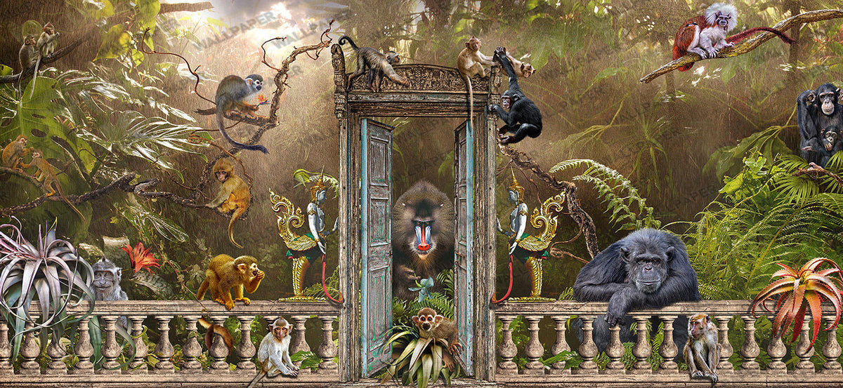 Jungle Zoo Gate Wallpaper : Mandrill Monkey Tropical 3D Mural - flat design