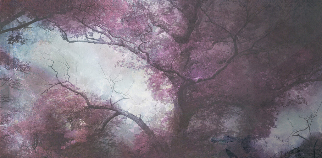 Purple Blossom Tree Wallpaper : Lilac Canopy Mural - View 2