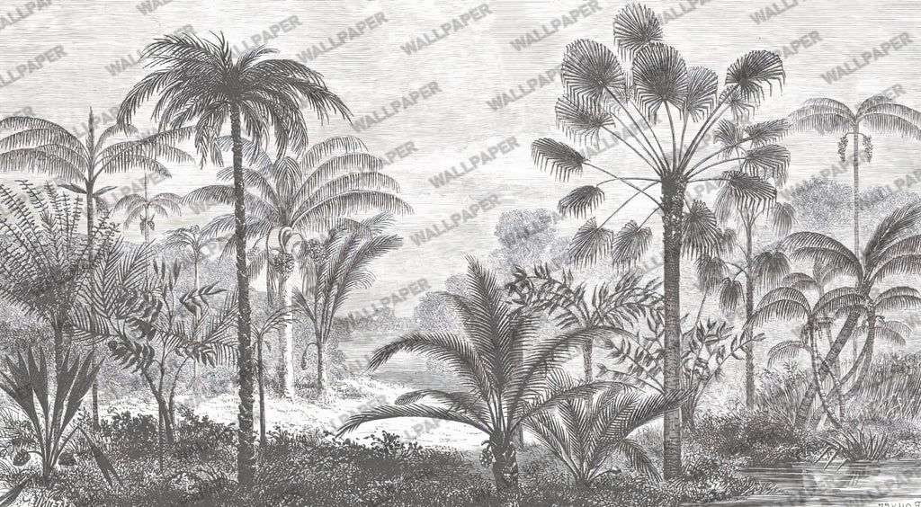 Black and White Jungle Wallpaper : Palm Tree Etching Mural - View 2