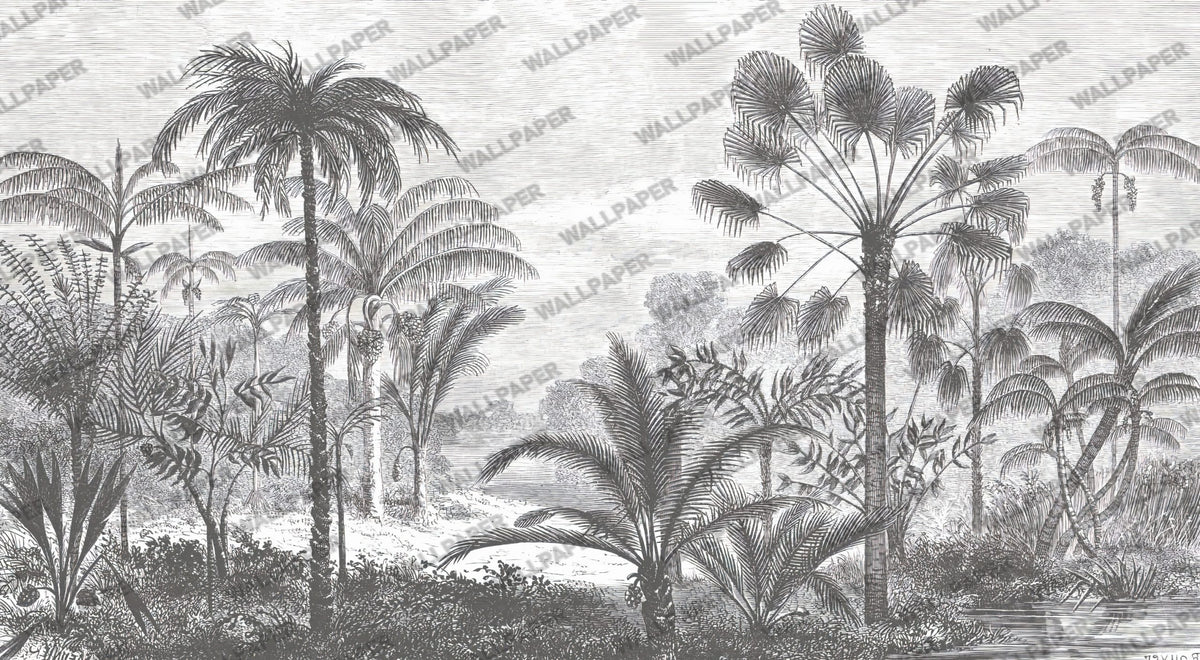 Black and White Jungle Wallpaper : Palm Tree Etching Mural - flat design