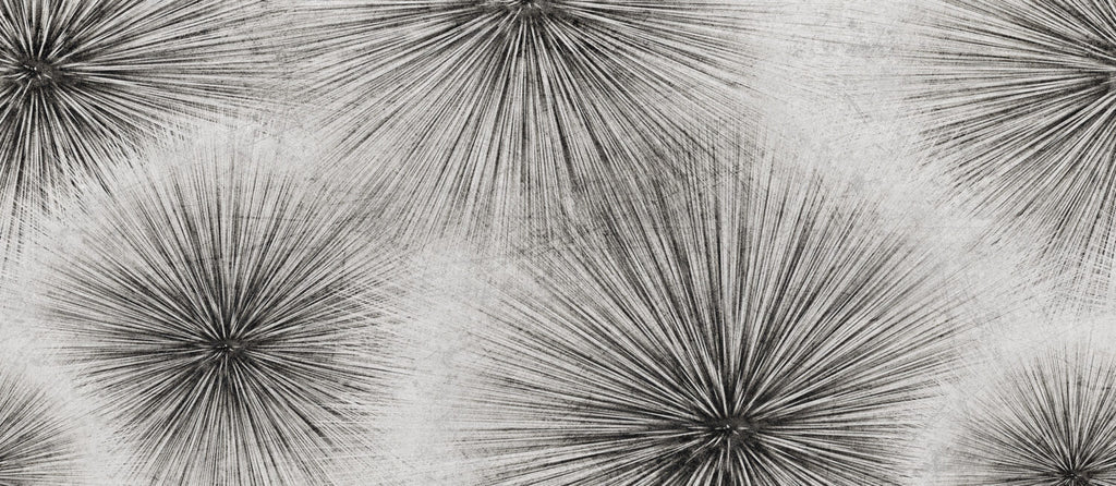 Palm Frond Sketch Wallpaper : Black and White Radiating Lines Mural - View 2
