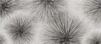 Palm Frond Sketch Wallpaper : Black and White Radiating Lines Mural - View 2