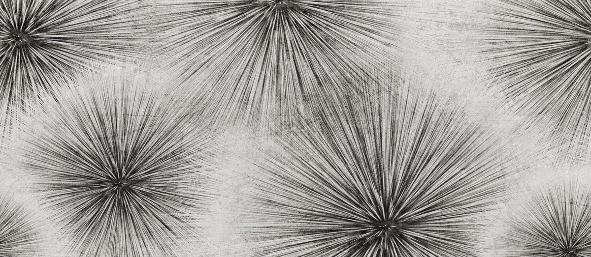 Palm Frond Sketch Wallpaper : Black and White Radiating Lines Mural - View 2
