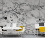 Black and White Marble Wallpaper : Classic Veined Stone Mural