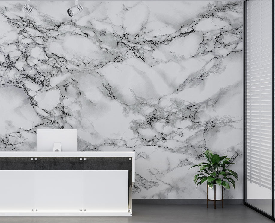 Black and White Marble Wallpaper : Classic Veined Stone Mural - View 2