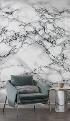 Black and White Marble Wallpaper : Classic Veined Stone Mural - View 3