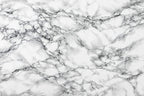 Black and White Marble Wallpaper : Classic Veined Stone Mural - flat design