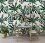 Monstera and Banana Leaf Wallpaper : Green Tropical Pattern on White Mural - View 2