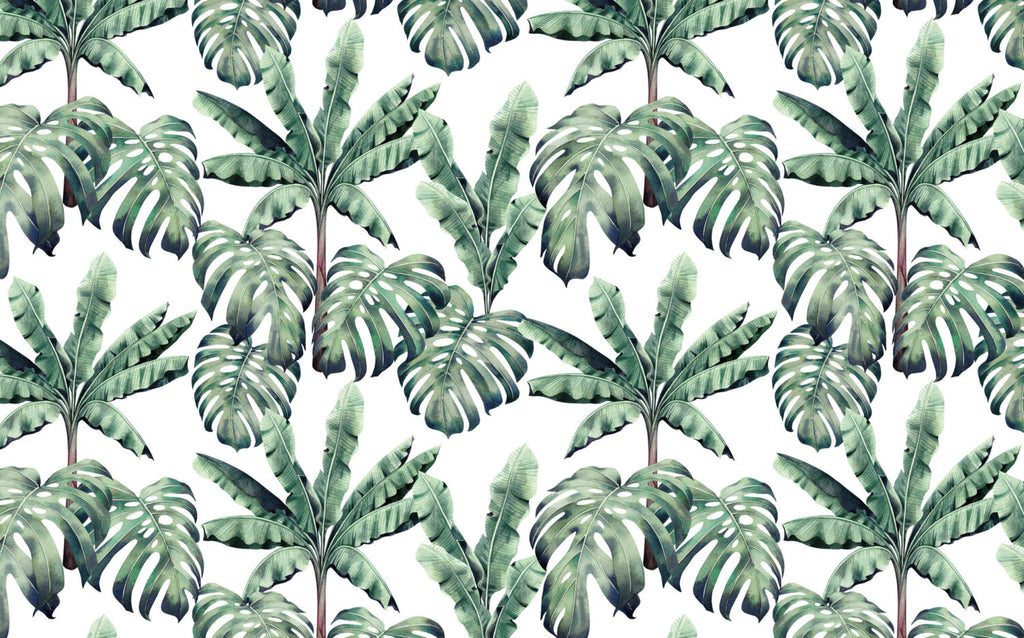 Monstera and Banana Leaf Wallpaper : Green Tropical Pattern on White Mural - flat design