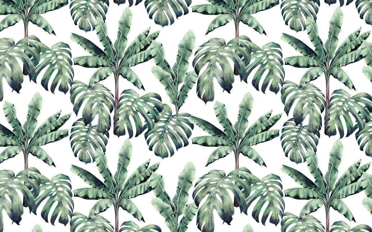 Monstera and Banana Leaf Wallpaper : Green Tropical Pattern on White Mural - flat design